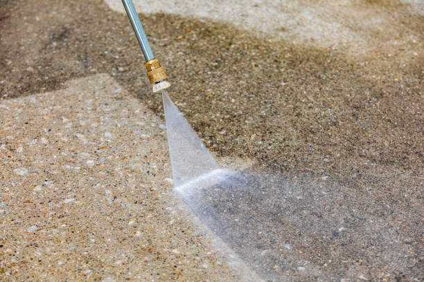 Best Animal Enclosure Cleaning  in Sikeston, MO
